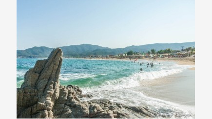 Sarti