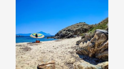 Sarti