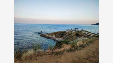 Sarti