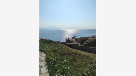 Sarti