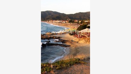 Sarti