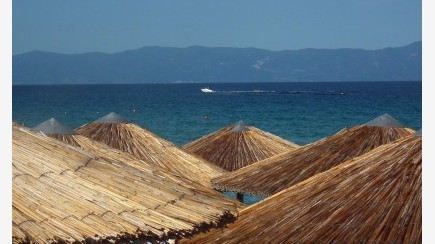 Sarti